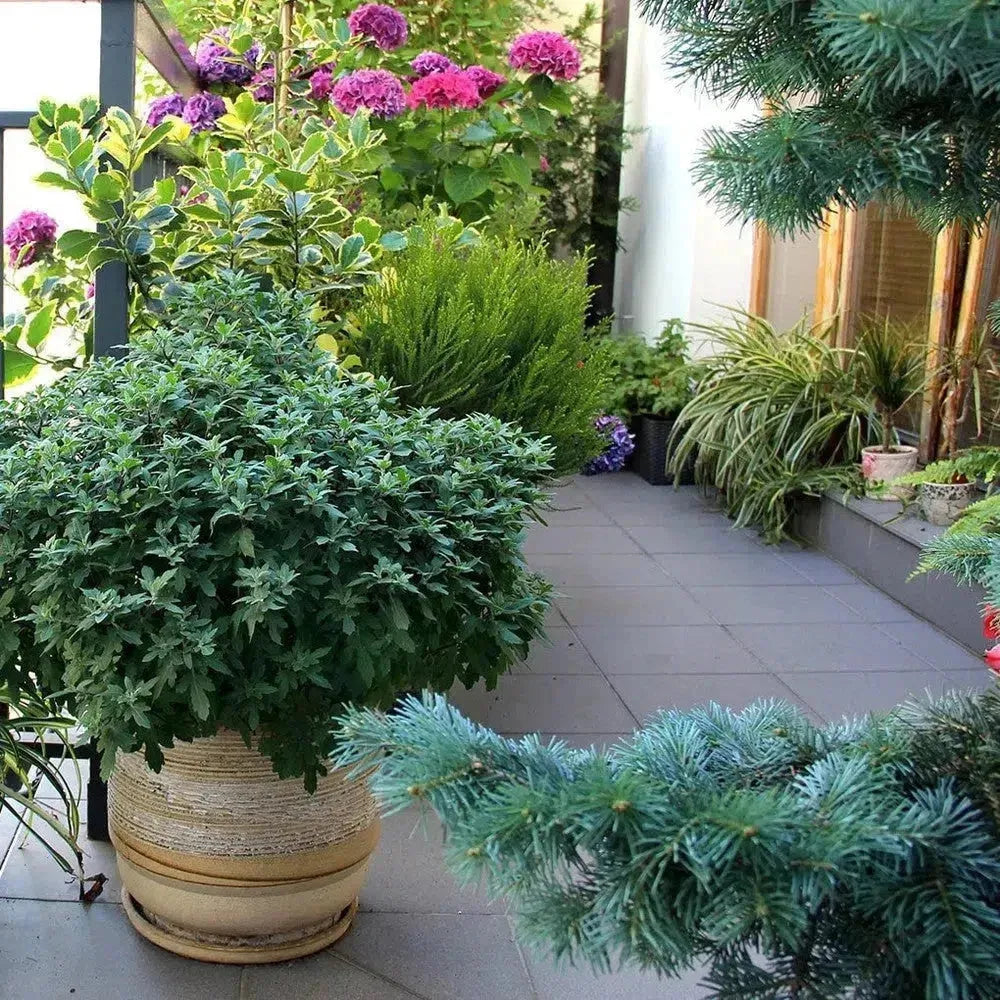 Handgefertigte Kunstblumen für Ihren Balkon: ästhetisch und praktisch – Flora Studio