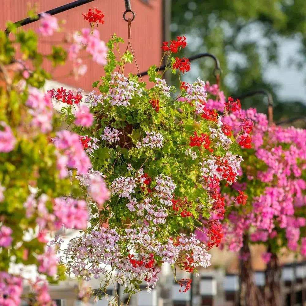 Kunstblumen für Außenbereich, schöne Kunstblumen für draußen kaufen – Flora Studio