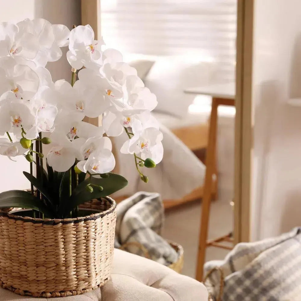 Künstliche Orchideen
