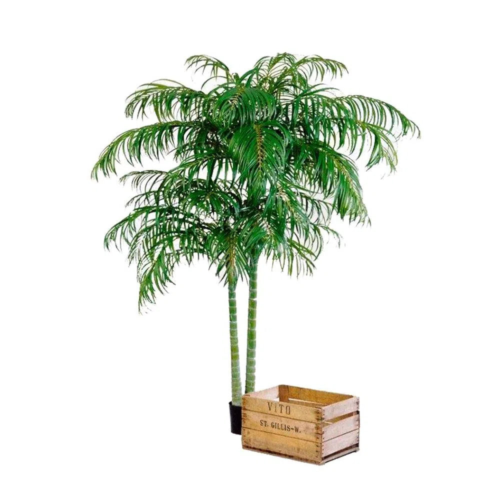 Künstliche Areca Palme - Deluxe 210 - 240 cm