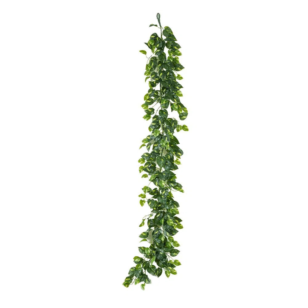Kunstpflanzen | Künstliche Efeutute (Pothos) - Eimeo, 180 cm