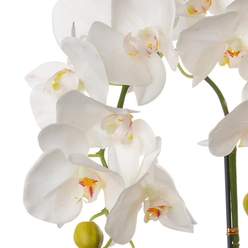 Künstliche Orchidee - Marlene, 65 - 75 cm