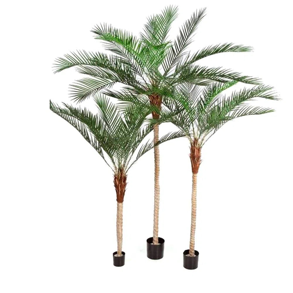 Künstliche Phönix Palme - Gomera, 180 - 240 cm