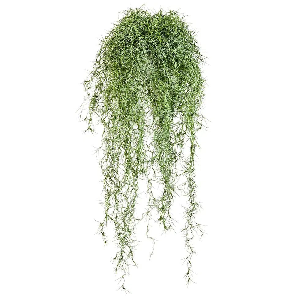 Kunstpflanzen | Künstliche Tillandsia Hänger - Tien, 80 cm