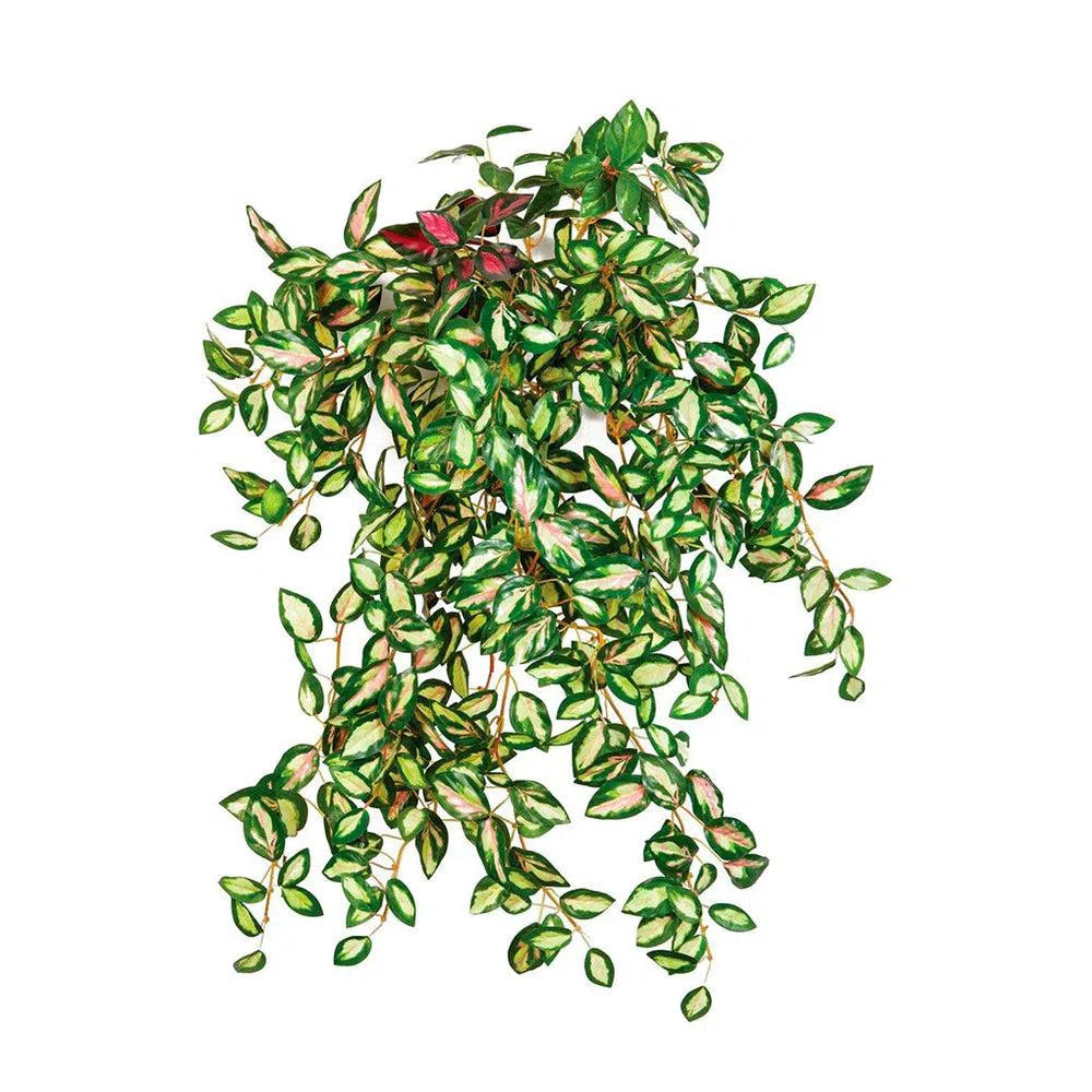 Künstliche Wachsblume (Hoya) - Mulan, 50 cm