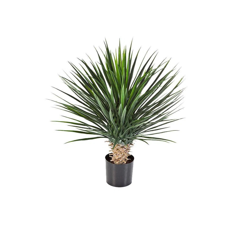 Künstliche Yucca Rostrata, 80 - 85 cm