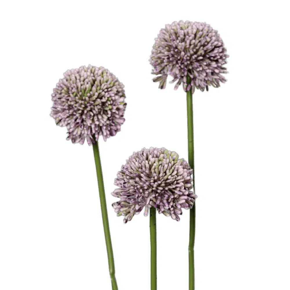 Künstlicher Allium - Agathe, 45 cm