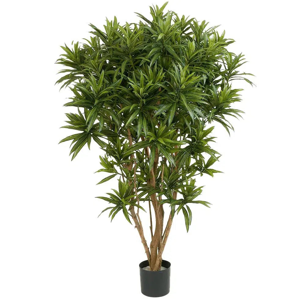 Künstlicher Drachenbaum mit Echtholzstamm - Jamala, 145 cm