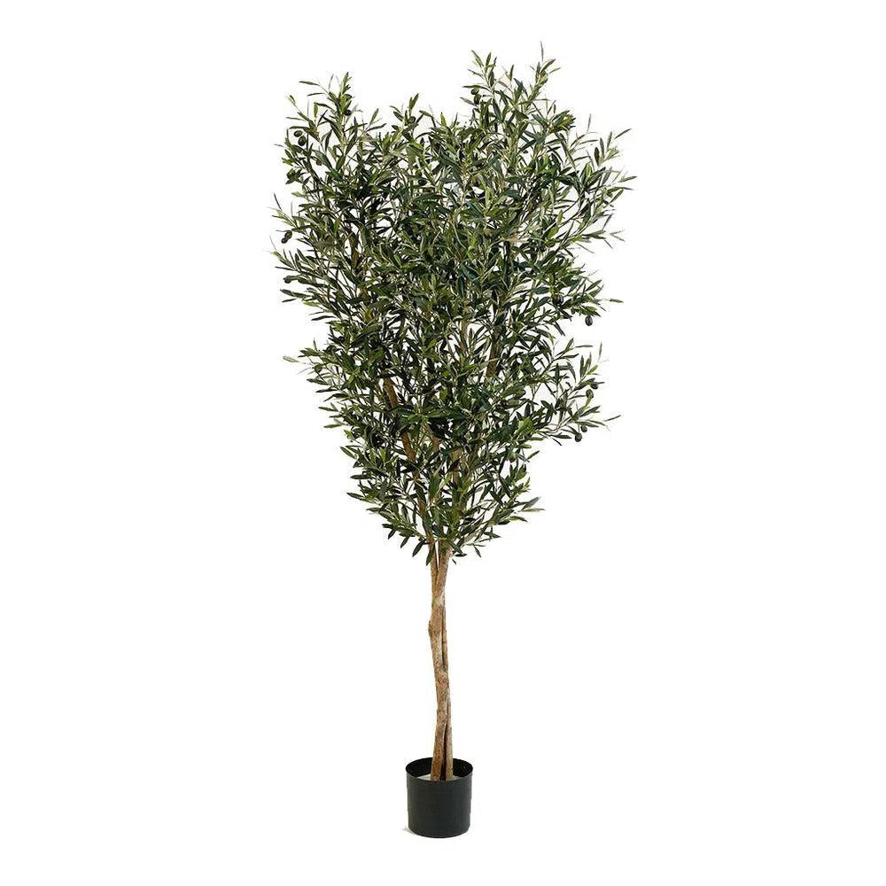 Künstlicher Olivenbaum mit Früchten und Echtholzstamm - Alexios, 120 - 180 cm