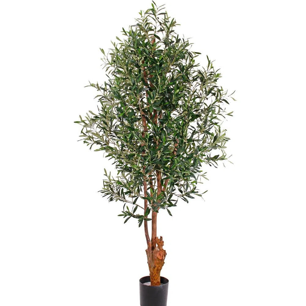 Künstlicher Olivenbaum mit UV-Schutz und Echtholzstamm - Ajax, 170 cm