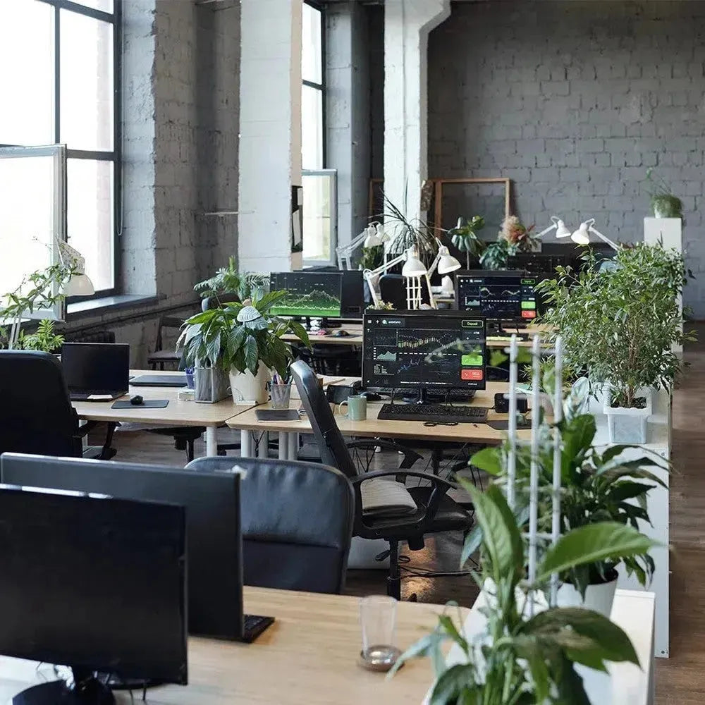 Die Verwendung von künstlichen Pflanzen im Büro: Tipps und Ideen für eine natürliche Arbeitsumgebung