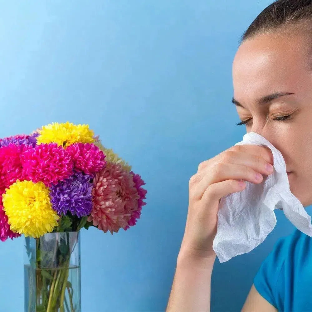 Kunstpflanzen für Allergiker: Die allergiefreundliche Alternative