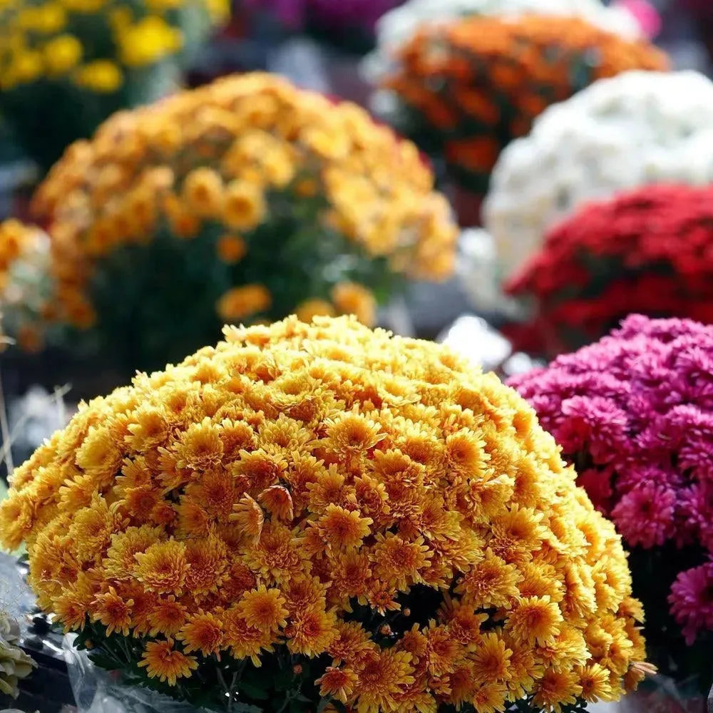 Künstliche Blumenschalen Frühling & Sommer