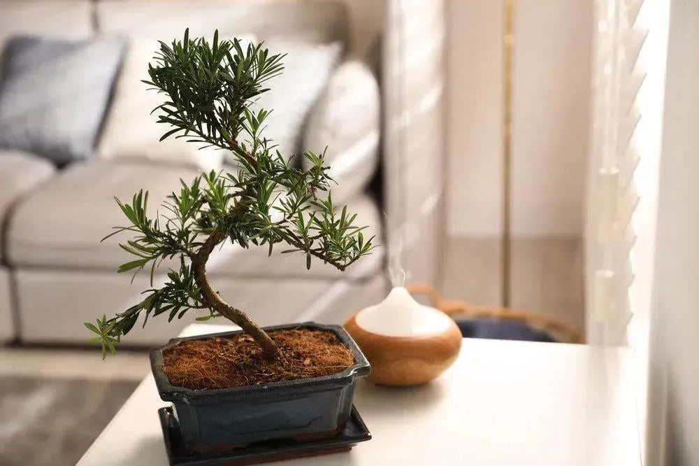 gartendeko günstig Diy aus Töpfen: einfache Upcycling-Ideen Herz