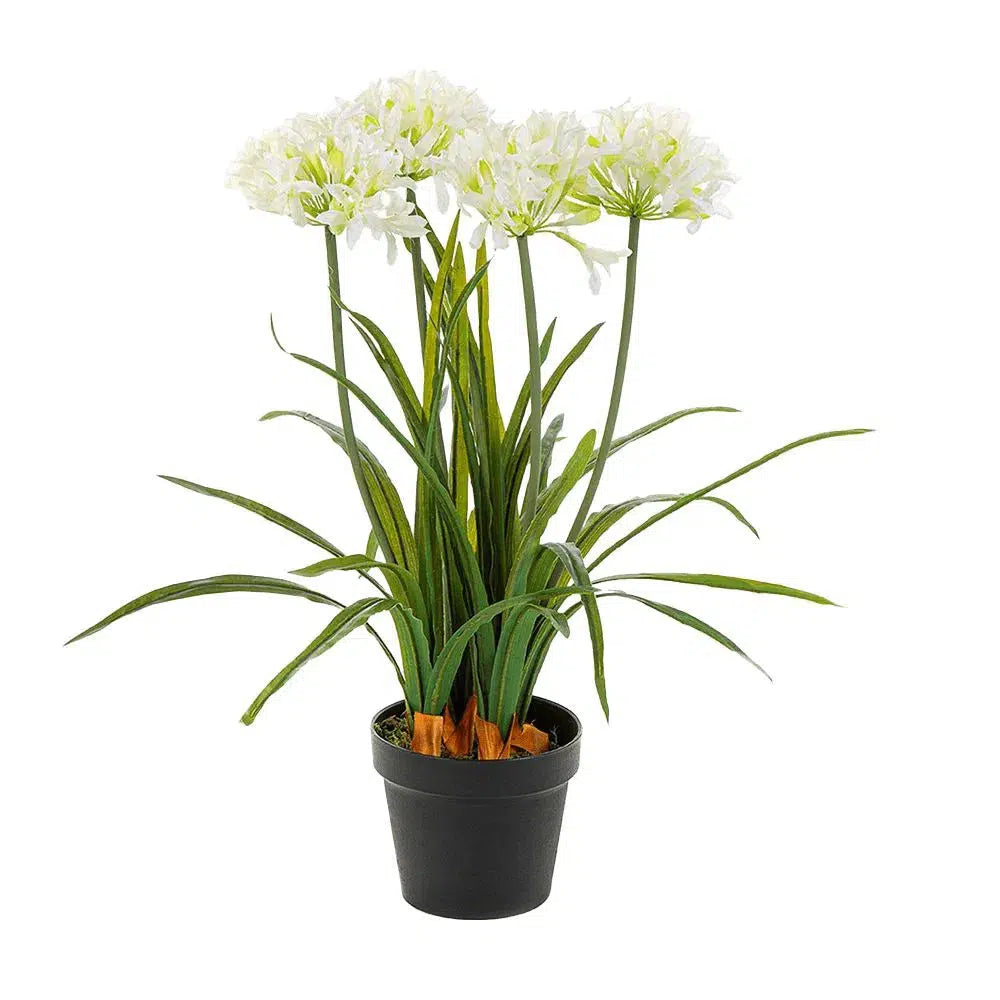 Künstliche Agapanthus - Lagos, 65 cm