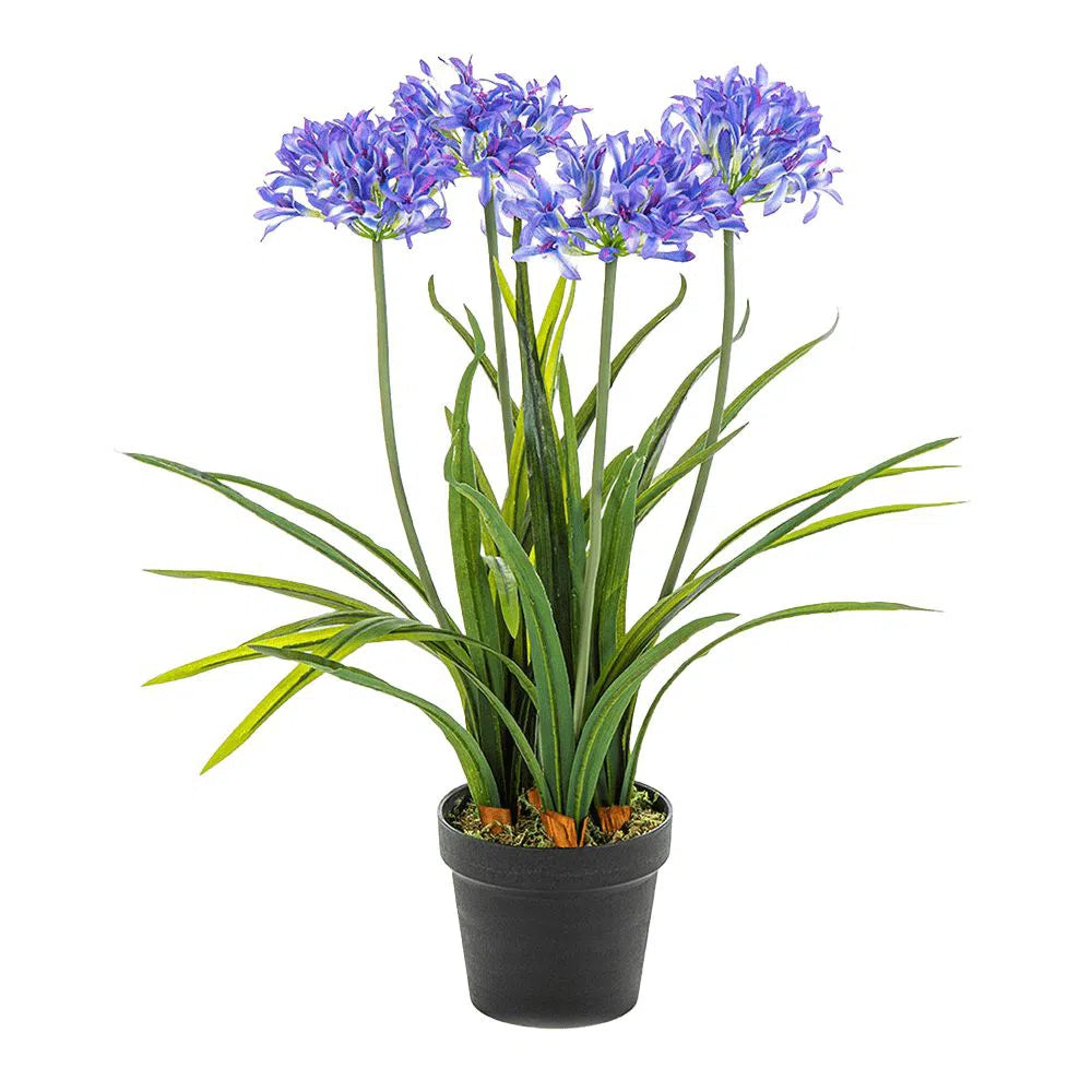 Künstliche Agapanthus - Lagos, 65 cm