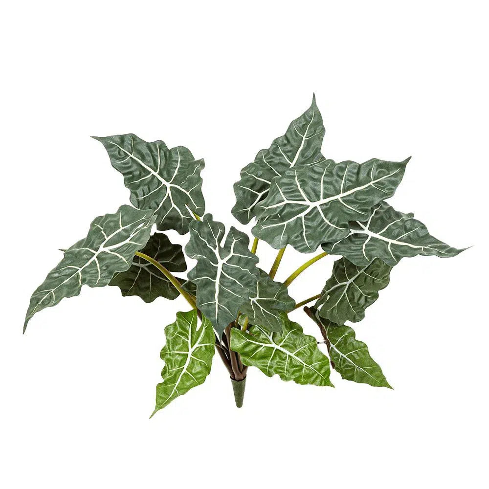 Künstliche Alocasia - Anna, 60 cm