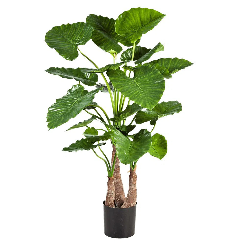 Künstliche Alocasia - Bodhi, 100 - 120 cm