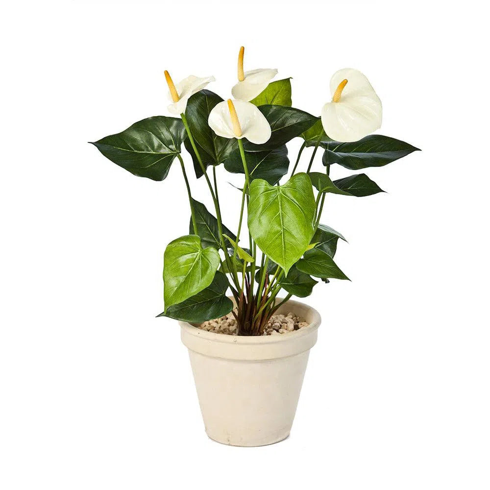 Künstliche Anthurie - Benita, 55 cm - ohne Topf