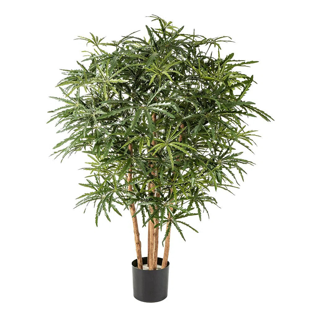 Künstliche Aralie mit Echtholzstamm - Natsuki, 85 - 115 cm