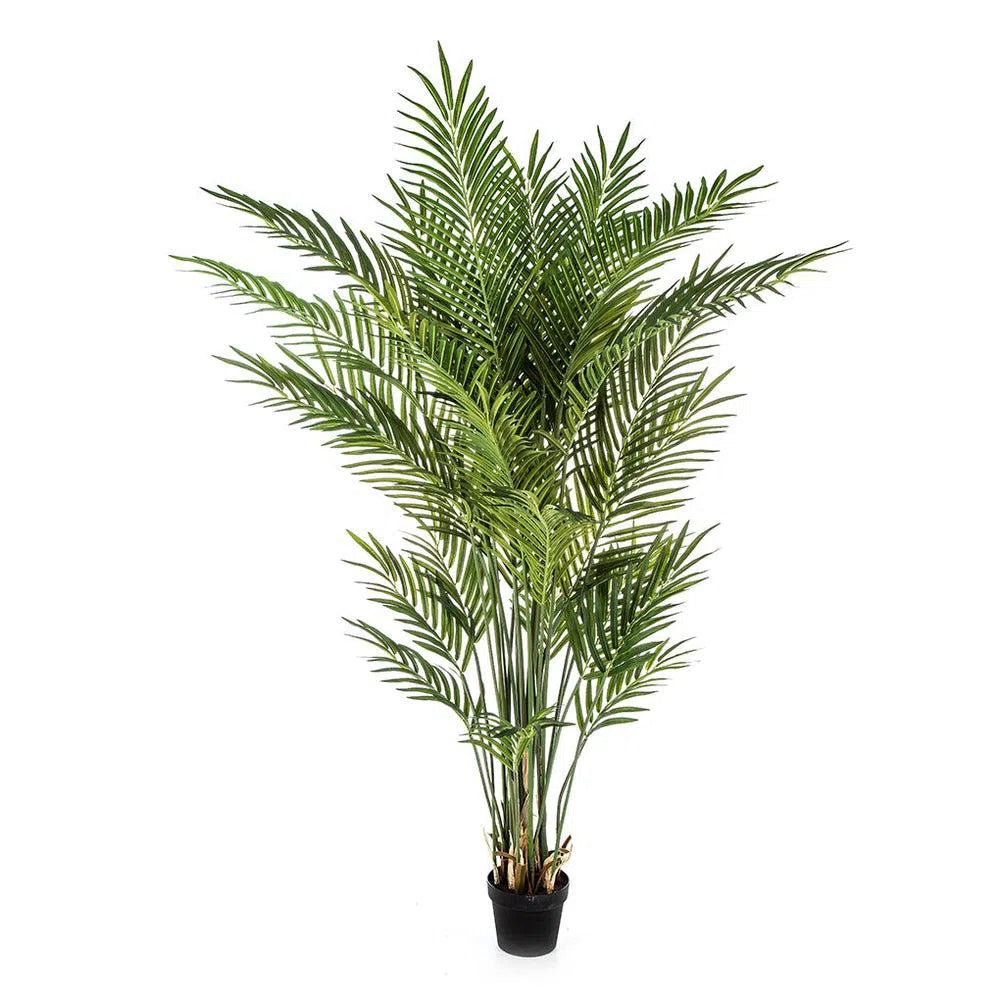 Künstliche Areca Palme - Forest, 80 - 205 cm