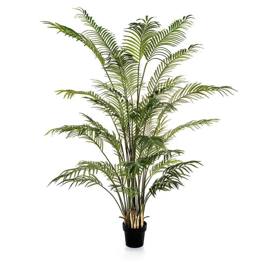 Künstliche Areca Palme - Forest, 80 - 205 cm