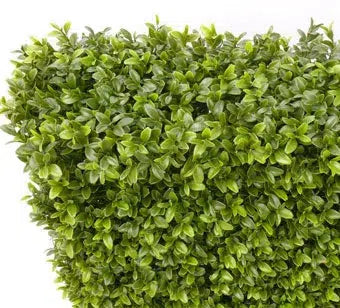 Künstliche Buchsbaumhecke mit UV-Schutz - Ben, 80 cm x 100 cm