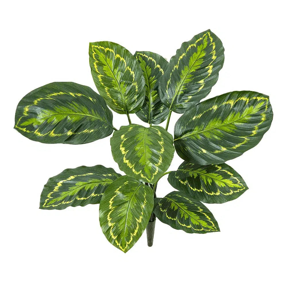 Künstliche Calathea - Katie, 55 cm