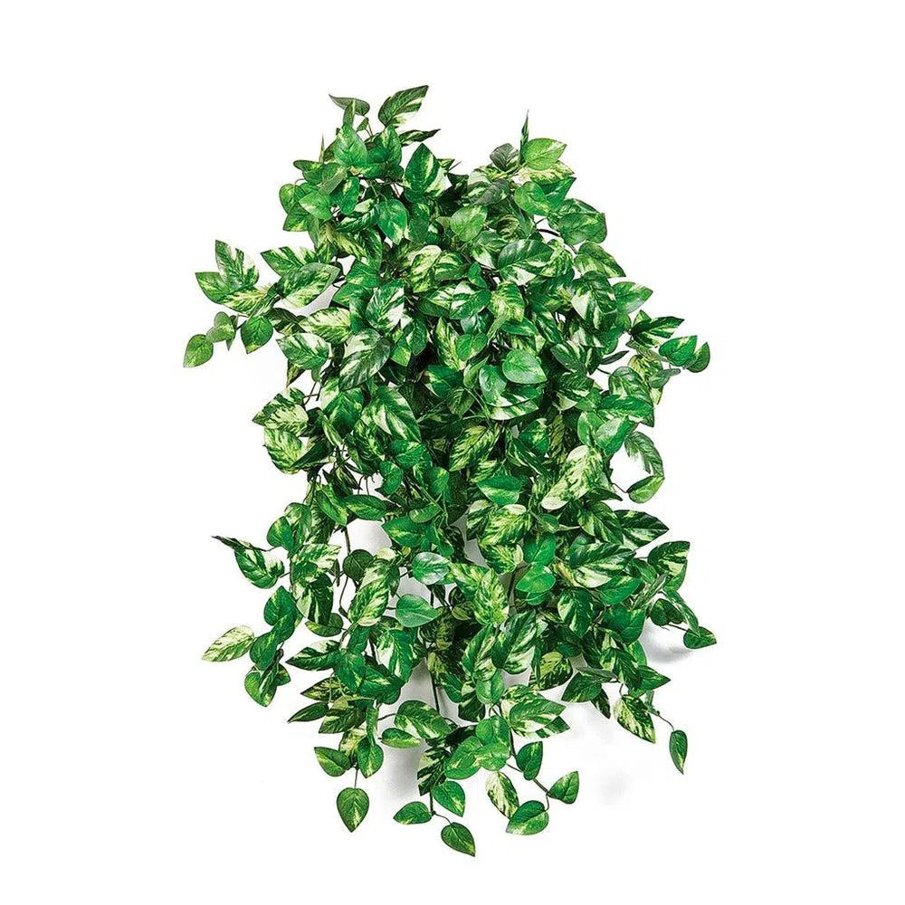 Künstliche Efeutute (Pothos), 50 cm