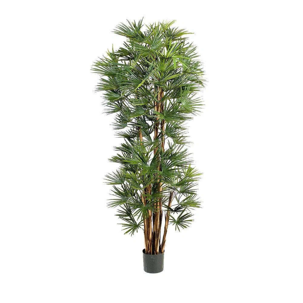 Künstliche Fächerpalme mit Echtholzstamm, 180 - 210 cm