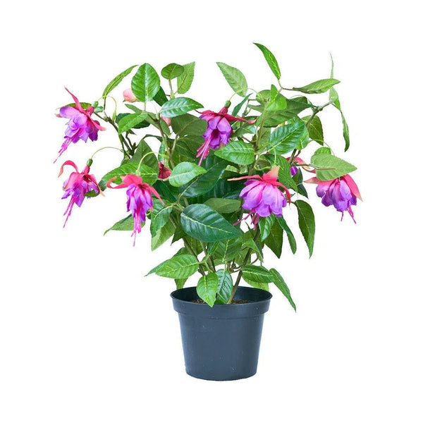 Kunstpflanzen | Künstliche Fuchsie, 30 cm | Wie echt | Hochwertig