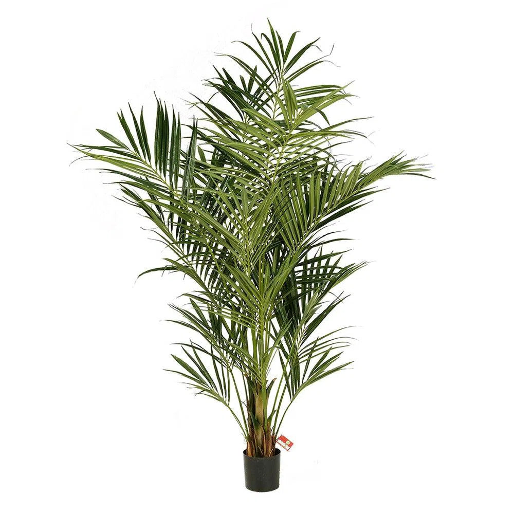 Künstliche Kentia Palme - Deluxe, 140 - 260 cm