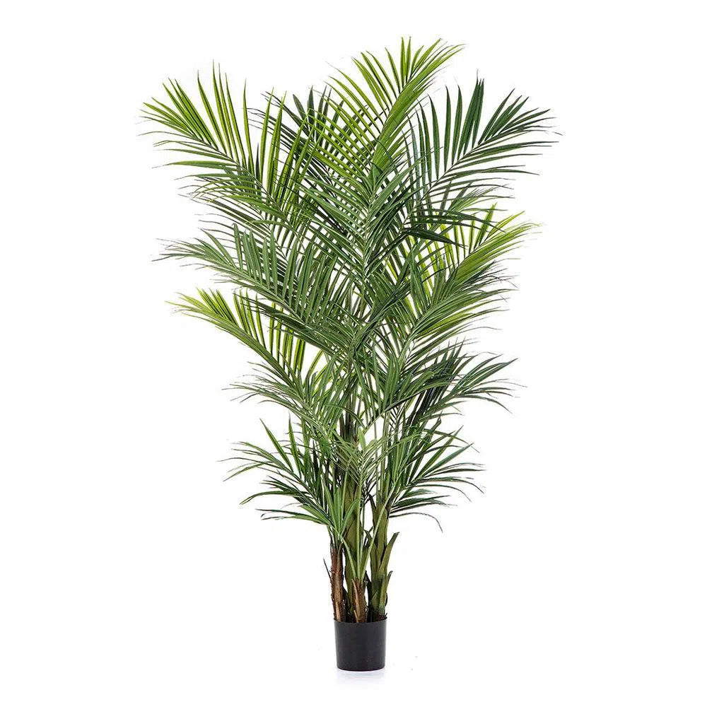 Künstliche Kentia Palme - Deluxe, 140 - 260 cm