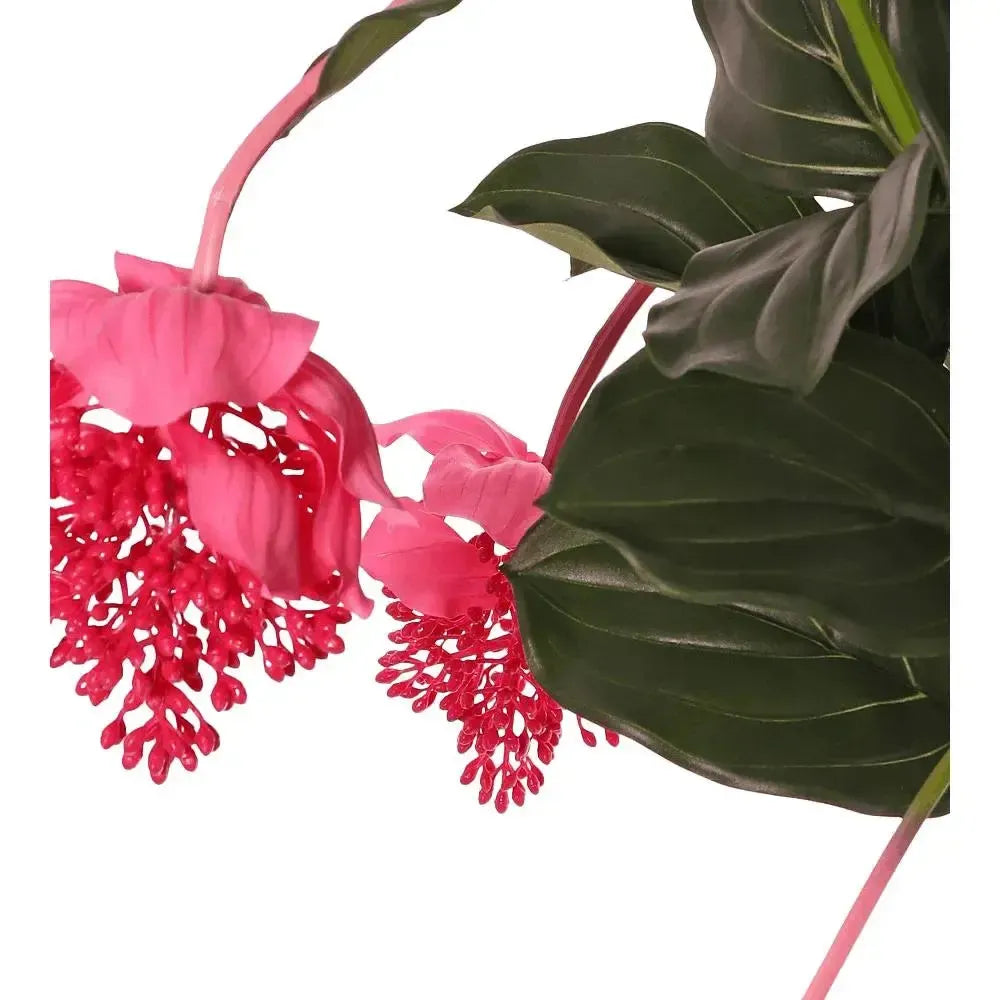 Künstliche Medinilla - Maxine, 90 cm