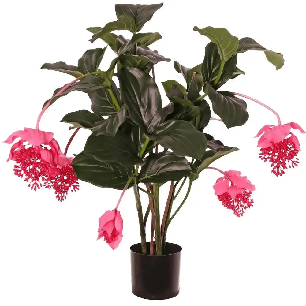 Künstliche Medinilla - Maxine, 90 cm