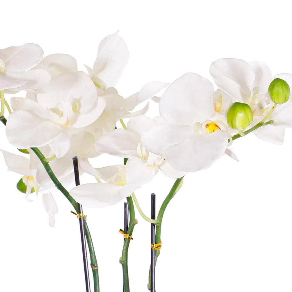 Künstliche Orchidee - Marlene, 65 cm