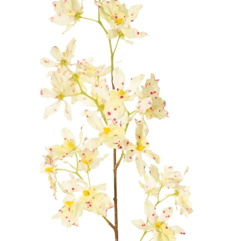 Künstliche Orchidee - Olga, 80 cm