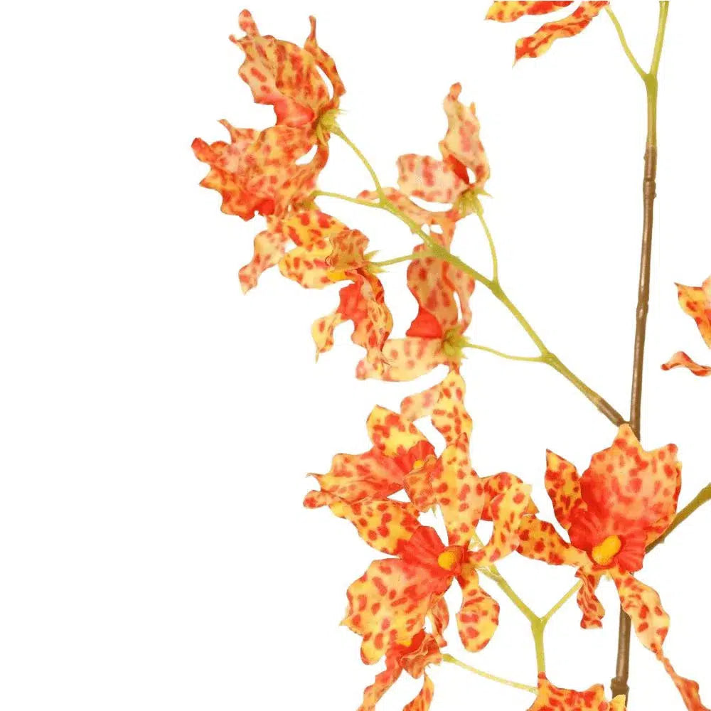 Künstliche Orchidee - Olga, 80 cm