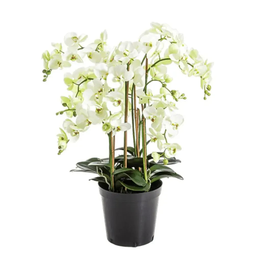 Künstliche Orcidee - Orchid, 85 cm