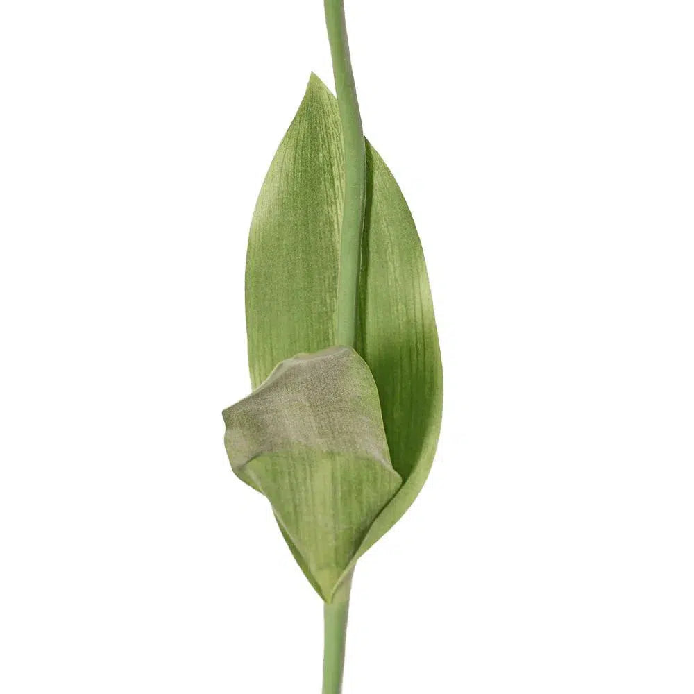 künstliche papageientulpen Kunstpflanzen | Künstliche Papageientulpe - Bibi, 65 cm | Wie echt