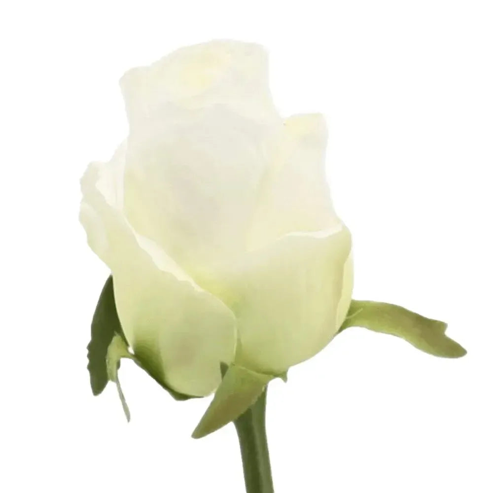 Künstliche Rosenknospe - Roxana, 57 cm