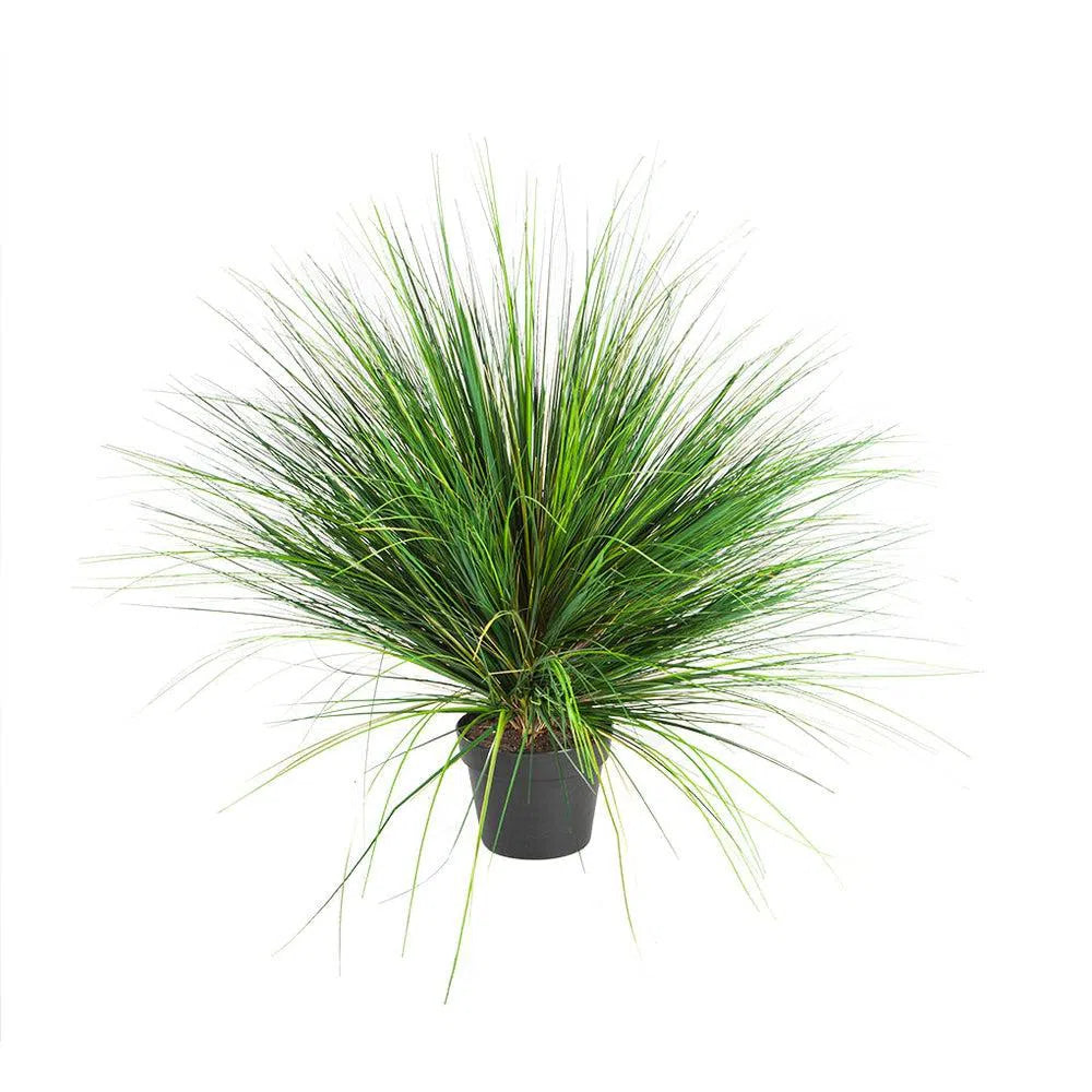 Künstliche Rutenhirse - Vera, 65 cm