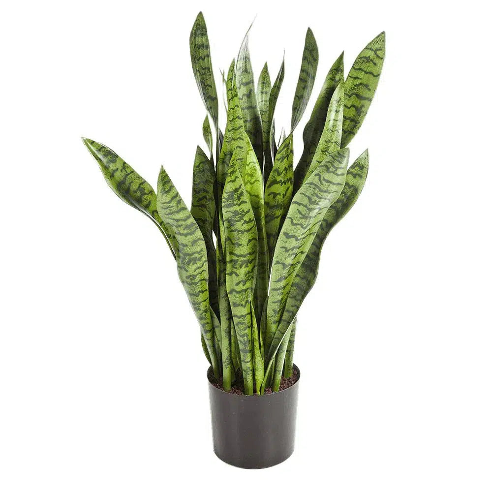 Künstliche Sansevieria (Bogenhanf) - Badia, 80 cm
