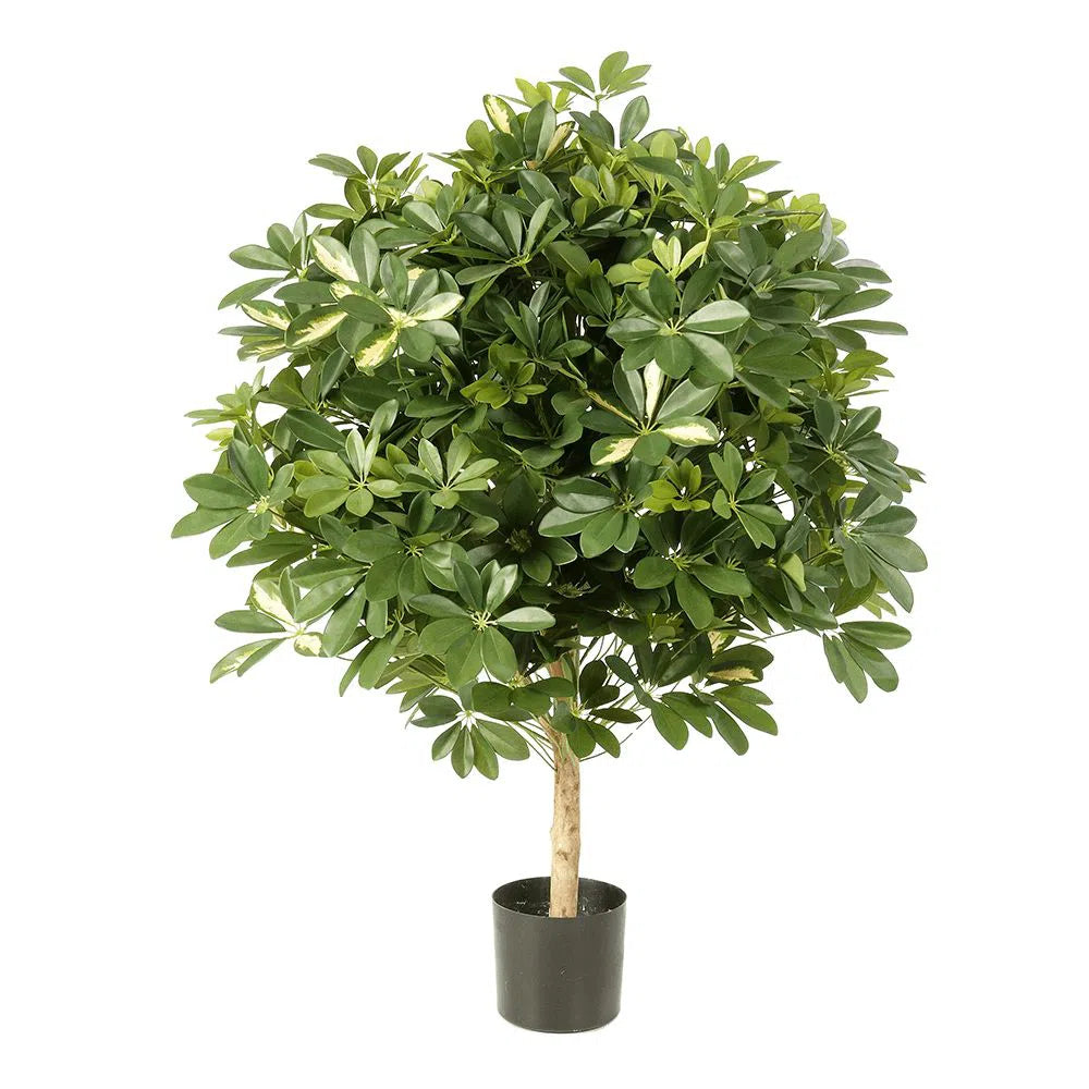 Künstliche Strahlenaralie mit Echtholzstamm - Hua, 110 cm