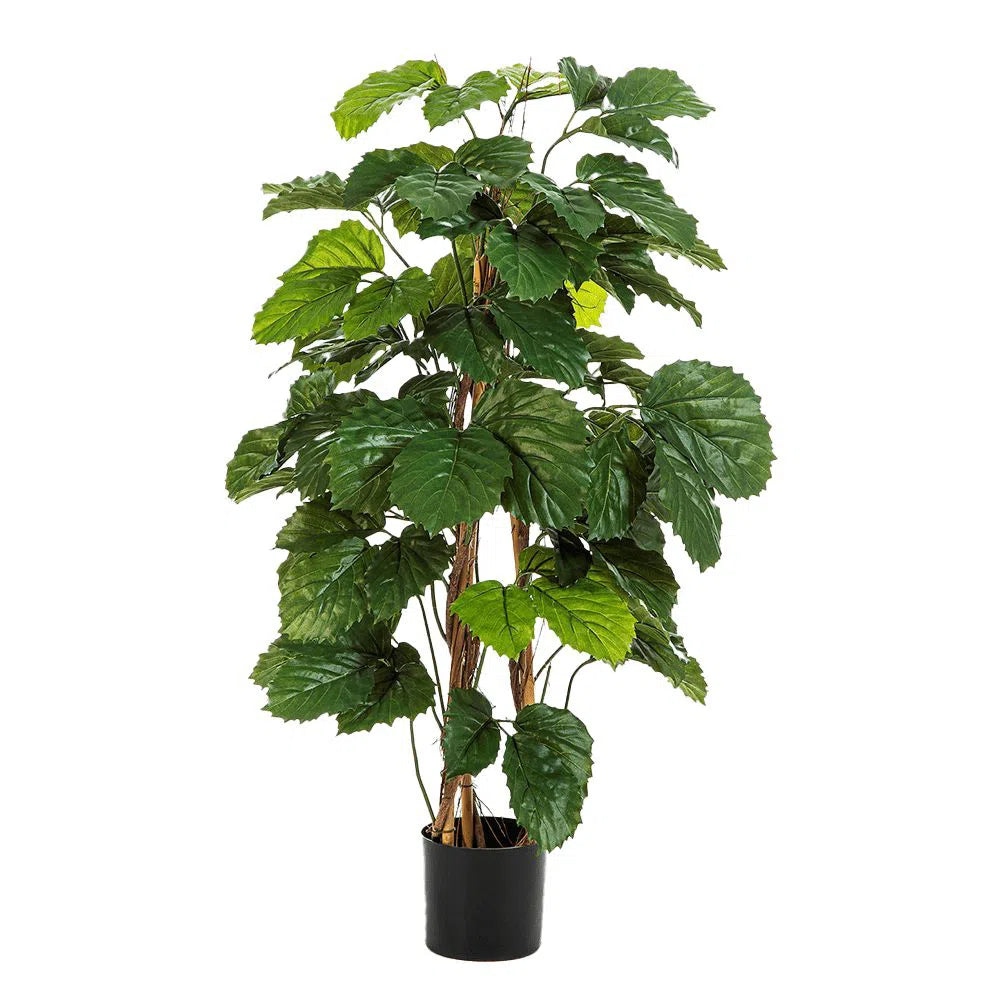 Künstliche Tetrastigma mit Echtholzstamm - Taiki, 120 cm