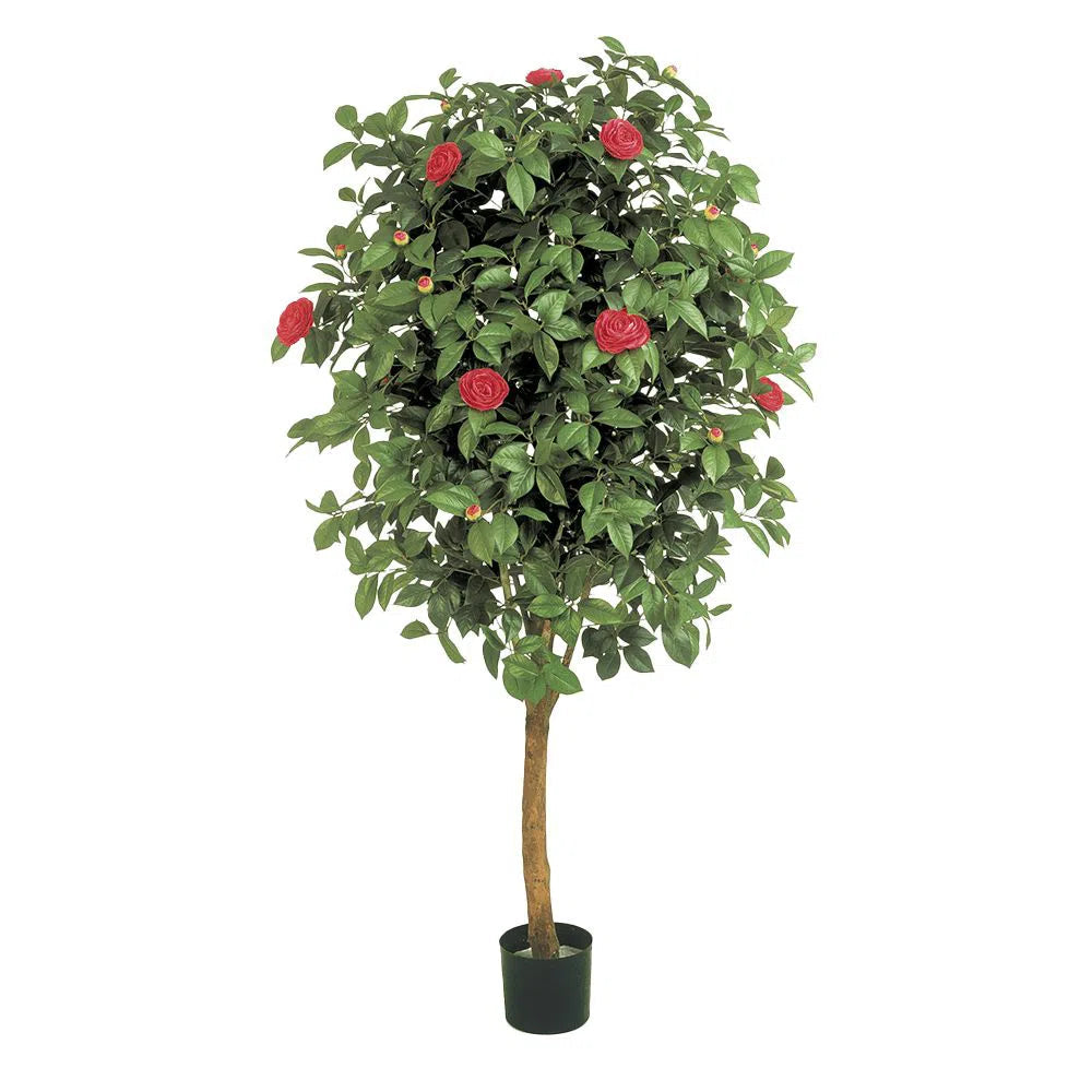 Künstliche japanische Kamelie mit Echtholzstamm - Chiko, 170-cm