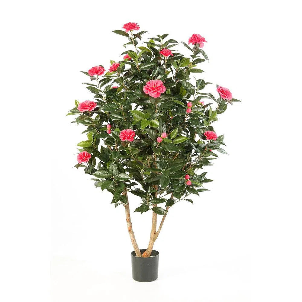 Künstliche japanische Kamelie mit Echtholzstamm - Kaya, 150 cm