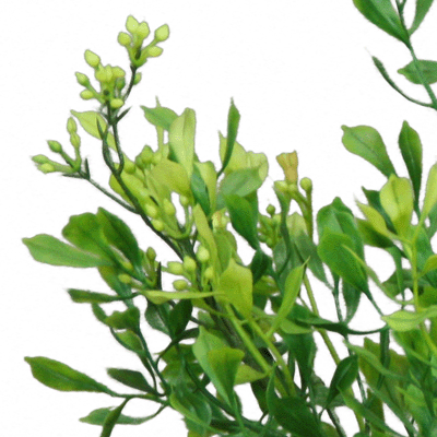 Künstlicher Blätterbusch - Natura, 35 cm