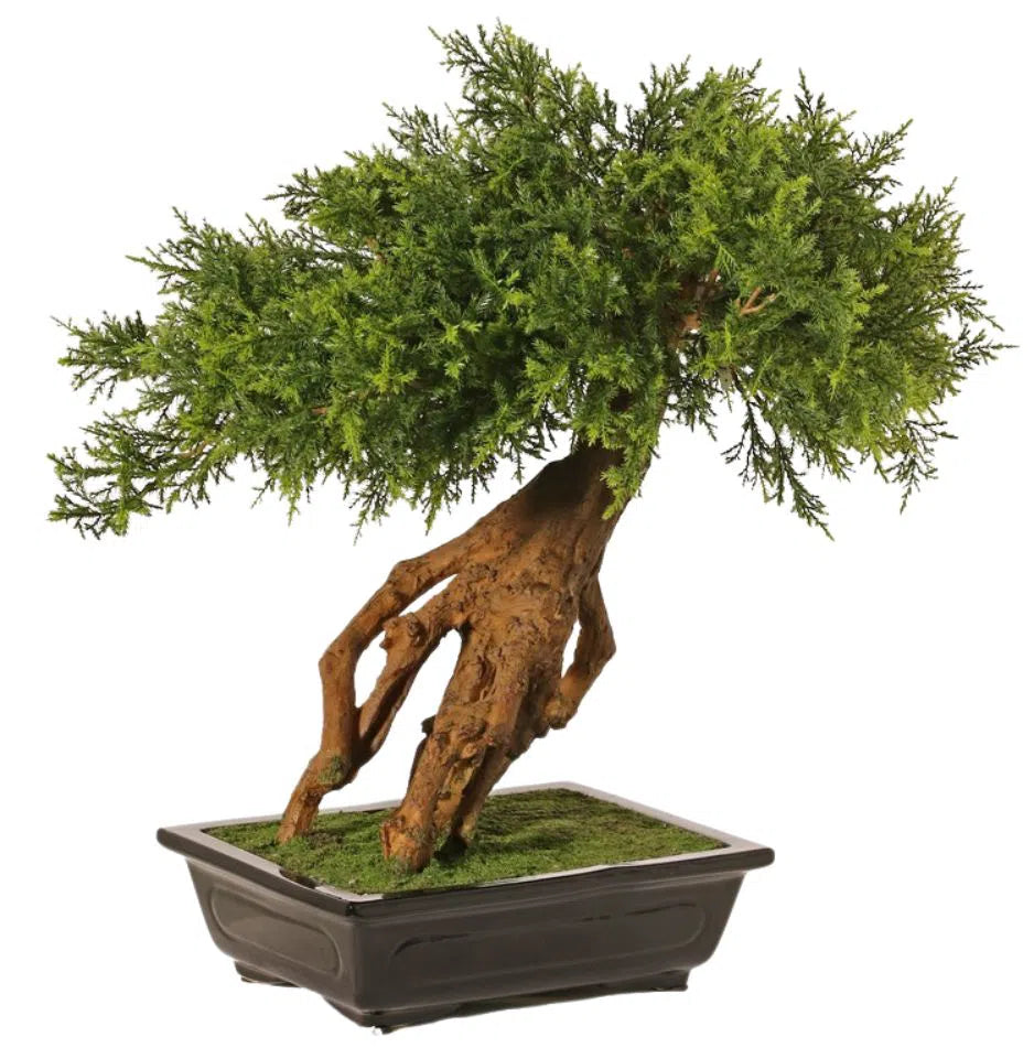 Künstlicher Bonsai - Lin, 45 cm