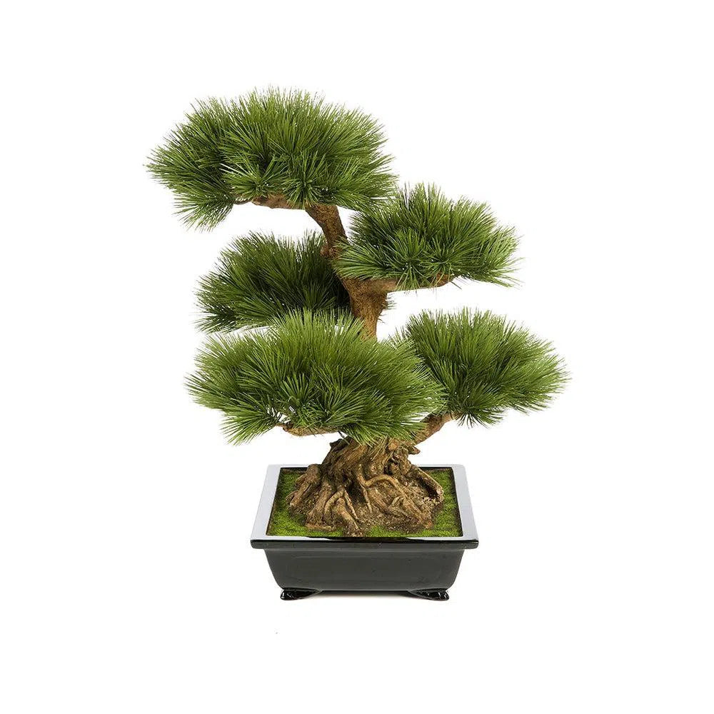 Künstlicher Bonsai - Pinus, 60 cm